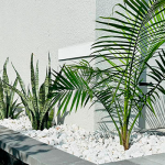 How to Water Your Lawn Properly