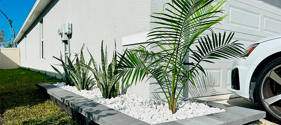 Napi Landscaping - Lawn Care Tips