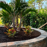 Optimize Your Irrigation System