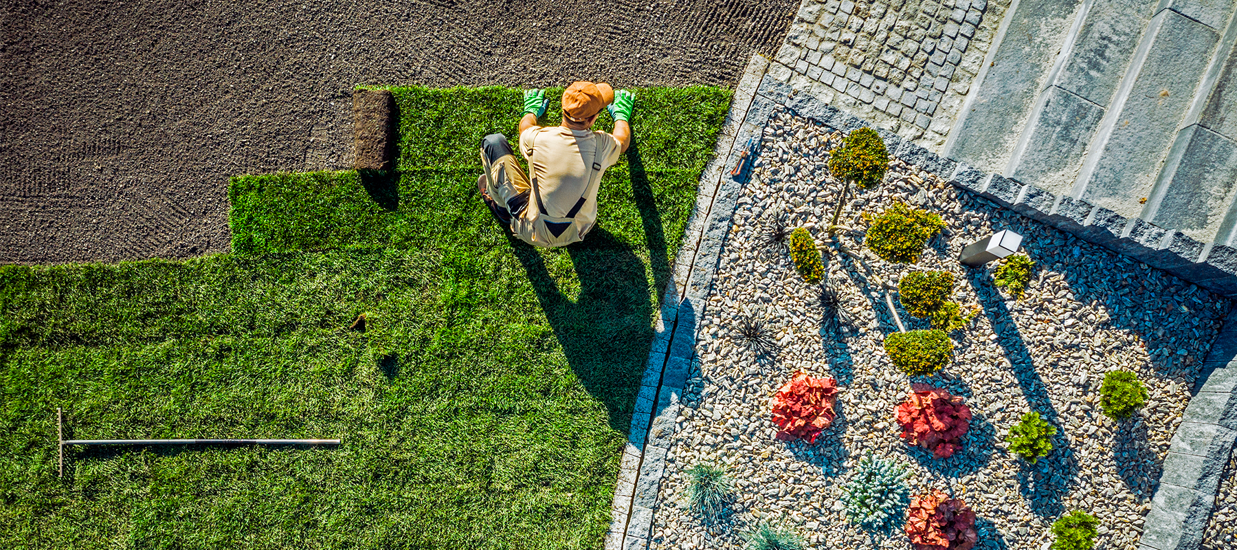 Napi Landscaping - Lawn Care Tips