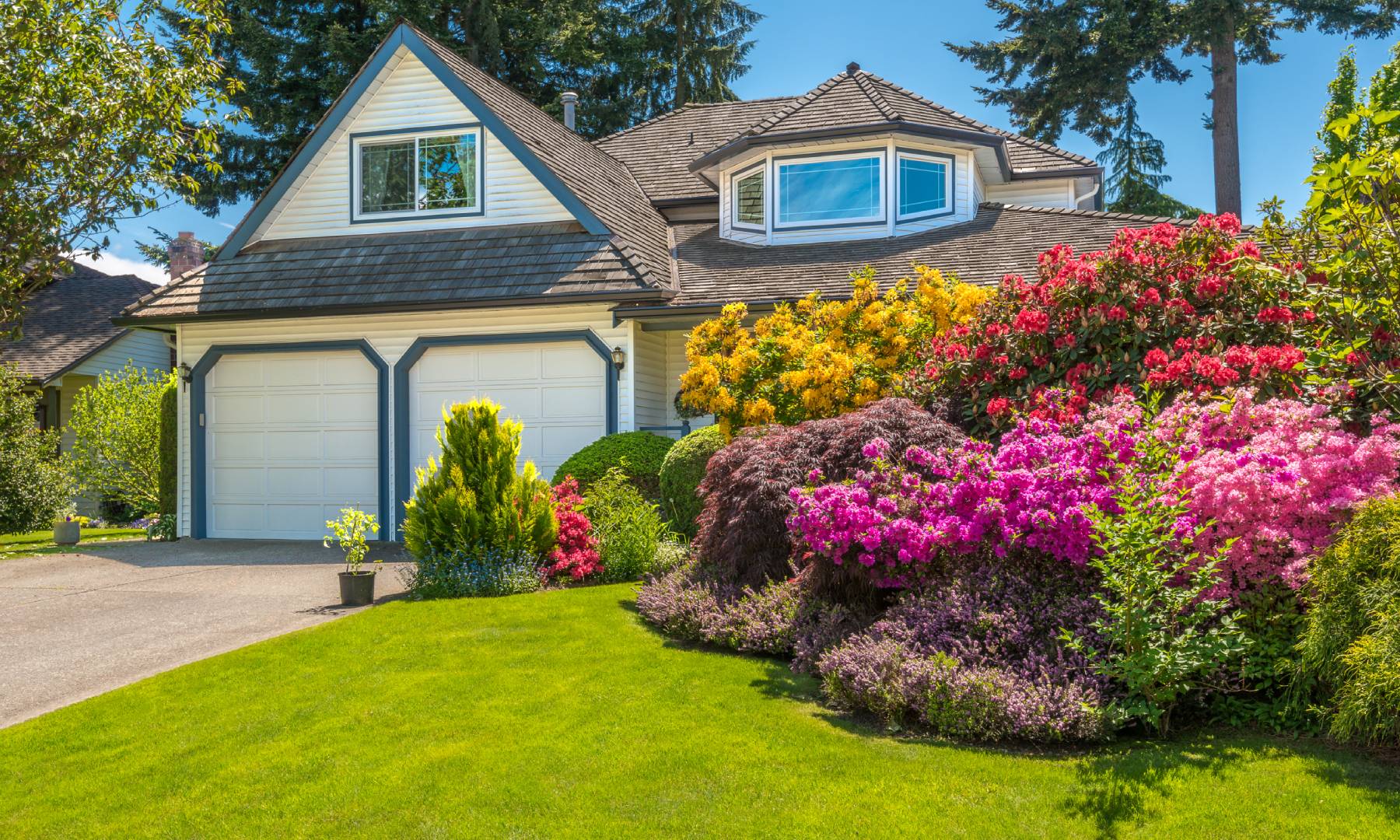 Napi Landscaping - Create Your Perfect Outdoor Space Today