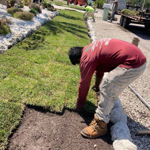 sod installation services near me